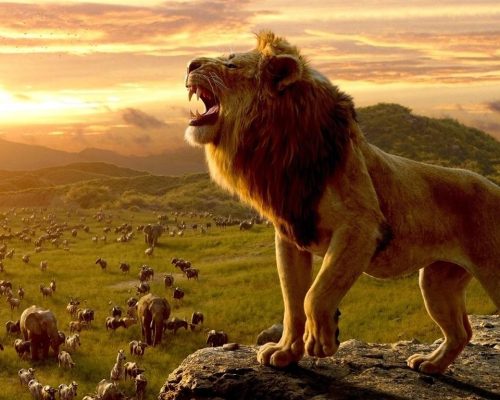 O Legado do Rei: Assista ao Primeiro Trailer Oficial de Mufasa – O Rei Leão