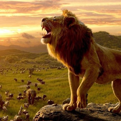 O Legado do Rei: Assista ao Primeiro Trailer Oficial de Mufasa – O Rei Leão